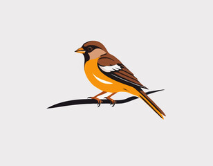 Sparrow Bird Vector Logo Design isolated on white background.