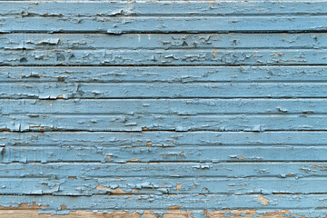 Texture from old wooden boards with peeling paint for background. Painted in pastel blue color. Close up.