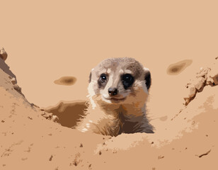 Meerkat Vector Images. Natural habitat of a cute meerkat peeking out of its burrow image vector.