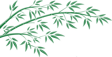 Naklejka premium Green Bamboo Branches with Leaves on White Background