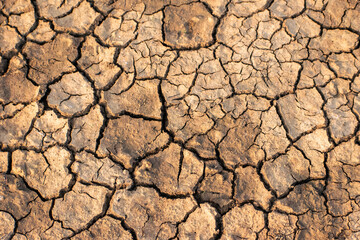 Close-up of severely cracked dry earth in India, showcasing a textured pattern of parched soil, signifying drought and environmental impact.
