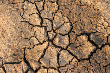 Close-up of severely cracked, dry earth in India, showcasing the harsh impact of drought. This parched soil forms an intricate natural texture and pattern.
