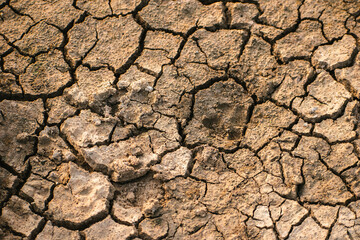 Close-up of severely cracked dry earth showcasing a stark texture, indicating drought conditions in India. The parched ground emphasizes environmental challenges.