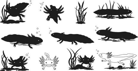 Collection of axolotl silhouettes in underwater scenes with bubbles and aquatic plants, cute amphibian vector illustration set for exotic pet, nature, and wildlife art