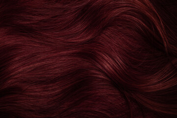 Dark red hair close-up as a background. Women's long brown hair. Beautifully styled wavy shiny curls. Coloring hair with bright shades. Hairdressing procedures, extension.