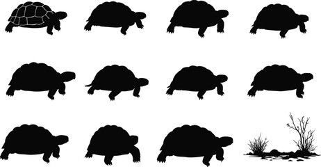 Set of tortoise silhouettes in various walking poses with ground elements, wildlife reptile vector illustration design for zoo, nature, turtle, animal, and conservation art
