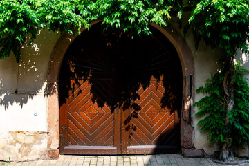 Fototapete bei efototapeten.de bestellen   