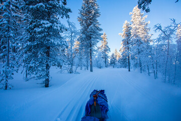 Ski expedition in Pallas Yllastunturi National Park , Lapland, Finland