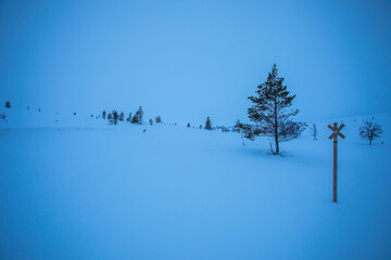 Winter landscape in Pallas Yllastunturi National Park, Lapland, Finland