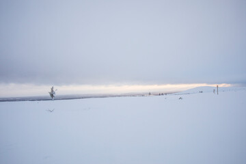 Winter landscape in Pallas Yllastunturi National Park, Lapland, Finland