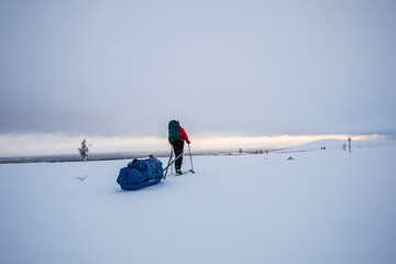 Ski expedition in Pallas Yllastunturi National Park , Lapland, Finland