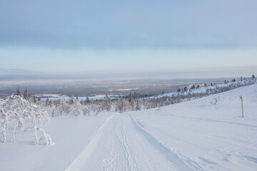 Fototapeta premium Winter landscape in Pallas Yllastunturi National Park, Lapland, Finland