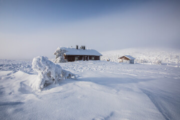 Ski expedition in Pallas Yllastunturi National Park , Lapland, Finland