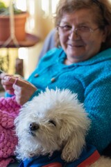 Elderly Latina woman knitting a vest next to her pet