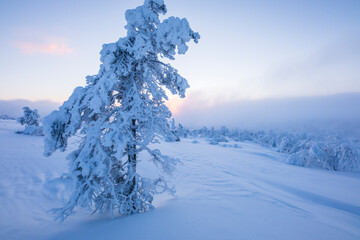 Winter landscape in Pallas Yllastunturi National Park, Lapland, Finland