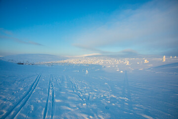 Winter landscape in Pallas Yllastunturi National Park, Lapland, Finland