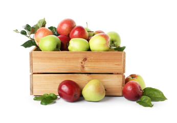 Fresh ripe apples in wooden crate isolated on white