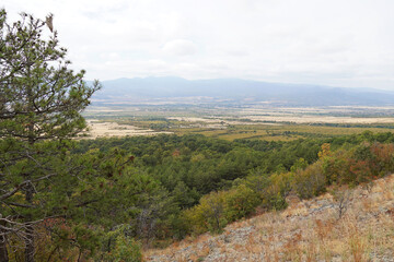 Naklejka premium Mountain landscape of the Balkans: stones rocks trees pine needles sky space