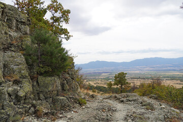 Fototapeta premium Mountain landscape of the Balkans: stones rocks trees pine needles sky space