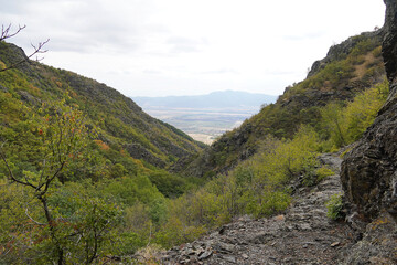 Mountain landscape of the Balkans: stones rocks trees pine needles sky space