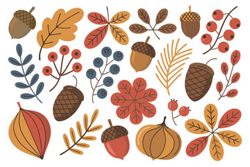 가을 분위기가 있는 단풍잎과 열매, 도토리, 솔방울, 낙옆 일러스트, 이미지