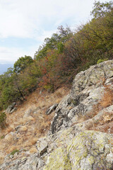 Mountain landscape of the Balkans: stones rocks trees pine needles sky space