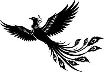 Obraz premium Majestic black bird silhouette in flight with wings spread wide isolated on white background 