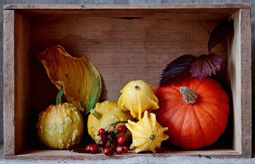 Yellow and orange pumpkins in a wooden box