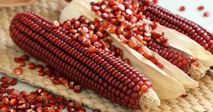 Pouring red corn kernels onto light grey table, closeup