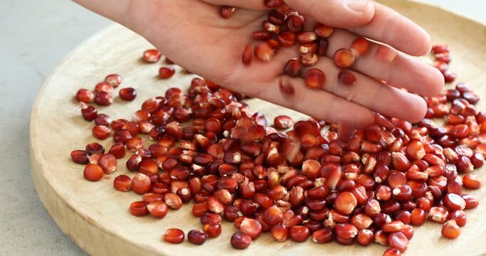 Woman with kernels of red corn at light grey table, closeup