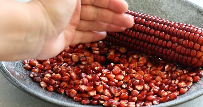Woman with red corn kernels and cob at light grey table, closeup