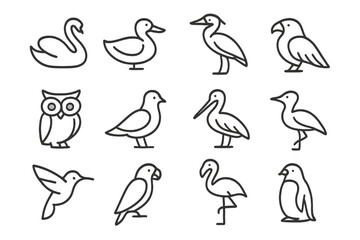 Bird Icon Set. Birds. Line icon set of birds: swan, duck, heron, eagle, owl, dove, pelican, crane, hummingbird, parrot, flamingo, penguin. All outline icons in
