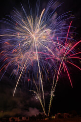 colorful fireworks exploding in the night sky