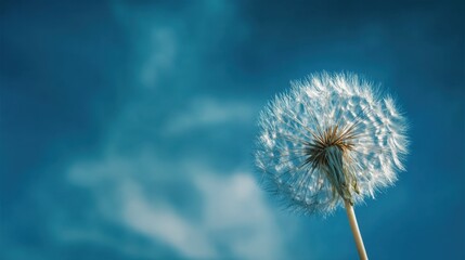 Naklejka premium Dandelion against blue sky - nature's tranquil beauty for calm and inspiration