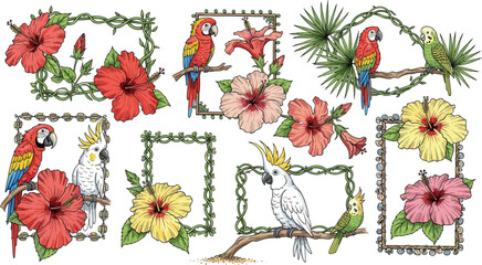 Tropical birds with vibrant hibiscus flowers and decorative frames, colorful parrot cockatoo vector set for exotic nature design themes © Vex flow
