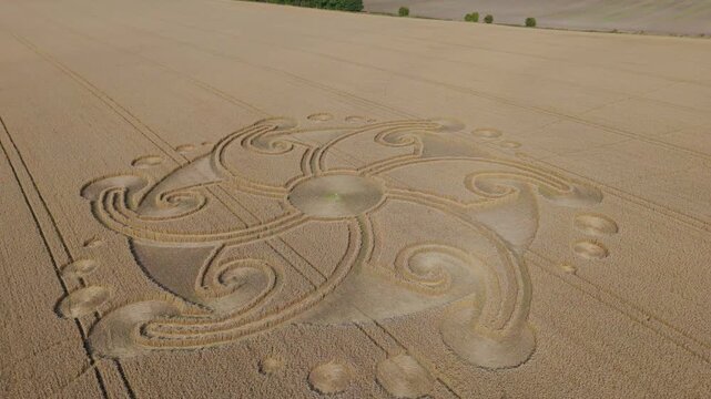 Aerial 4K footage orbit clip of a mysterious, intricate, geometric crop art, crop circle formation in a wheat field near Etchilhampton, Wiltshire, England, UK in 2024