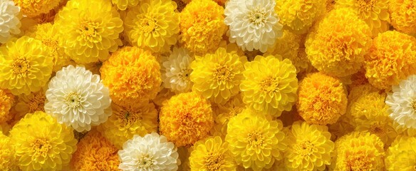 Vibrant yellow and white dahlia and marigold flower arrangement for floral designs