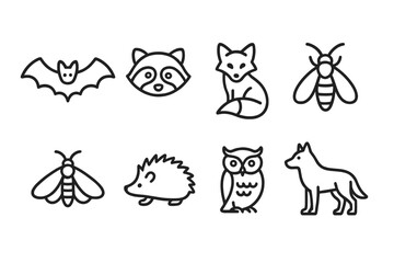 Fototapeta premium Nocturnal Animals Icon Set. Outline icon set of nocturnal animals: bat, raccoon, fox, firefly, moth, hedgehog, owl, wolf. [Line icons in only black color,