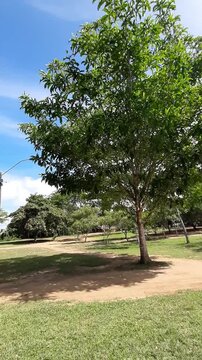 visual da serra da barriga em alagoas, onde foi o quilombo dos palmares