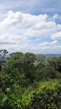 visual da serra da barriga em alagoas, onde foi o quilombo dos palmares