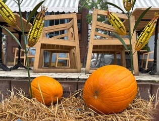 pumpkins on the roof