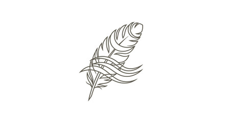 Elegant feather illustration showcasing intricate line work and minimalistic design