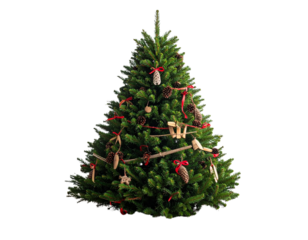 Rustic Christmas Tree with Wooden Ornaments and Red Ribbons on Wooden Floor, Warm Festive Mood.And transparent the background.