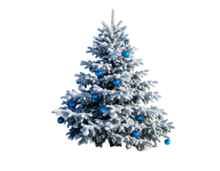Snow-Covered Christmas Tree with Blue and Silver Ornaments on White Surface, Minimalist Winter Theme. And transparent the background.