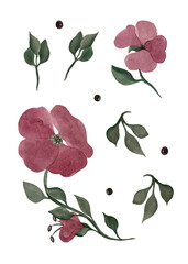 Red quatrefoils. Flowers and twigs. A set of isolated illustrations for your design