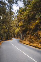S-curve mountain road winding through pine forest along a rocky hillside, smooth asphalt and center line leading into golden foliage; serene empty route for travel, exploration, and adventure