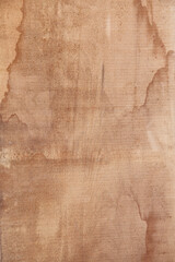 Natural wood texture. Cut wood plank
