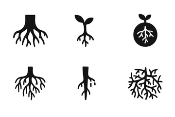 Fototapeta premium Root System Icons. Solid, filled icon set of roots and underground growth: tree roots, plant roots, root ball, root system, taproot, root hairs, root