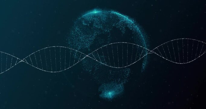 Scattered particles forming digital globe then revealing DNA helix moving showing genetic mapping - Powered by Adobe