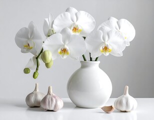 White Orchids in Vase with Garlic Bulbs.